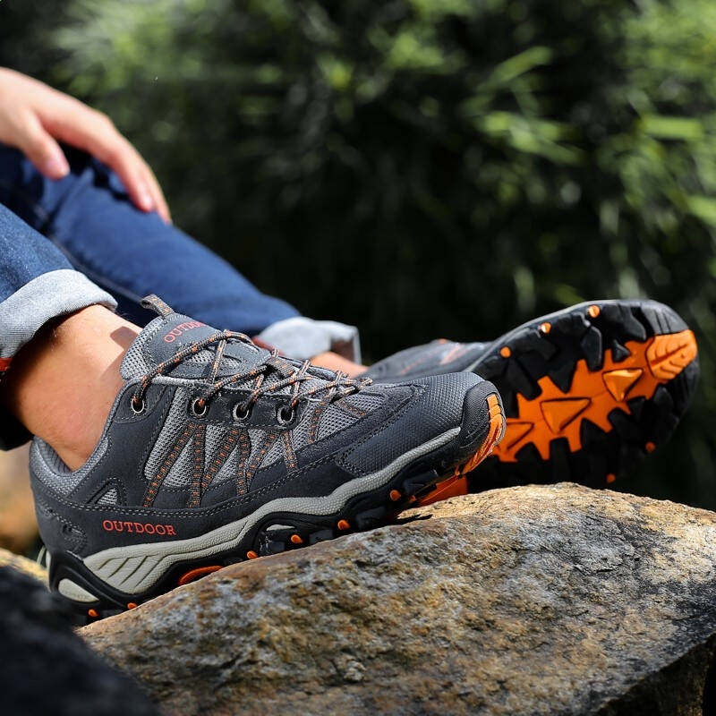 太阳棋牌appV3.7专业版