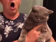 林州爱心顺风车