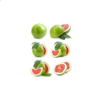 磊科nw320无线网卡驱动