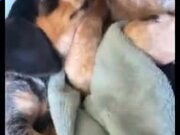 澳门十大休闲娱乐官网2025最新版赛季主题宣传图